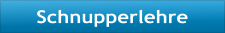 Schnupperlehre